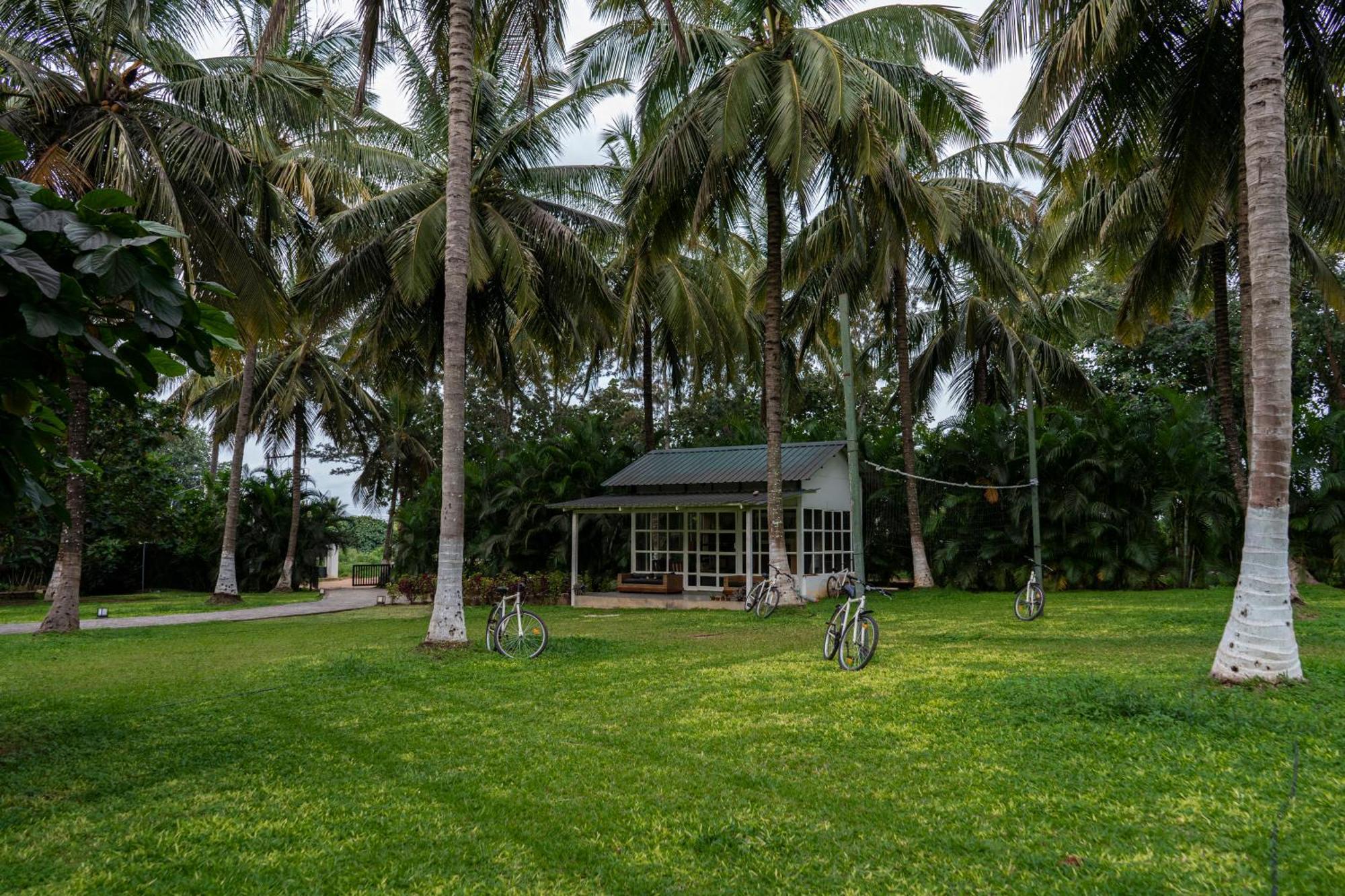 The Mangifera Apartment Bandipur Exterior photo